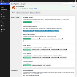 Page screenshot: Dashboard &rarr; Updates options