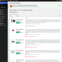 Page screenshot: Dashboard &rarr; Updates options &rarr; Themes