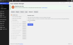 Page screenshot: Dashboard &rarr; Updates options &rarr; Advanced