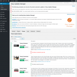 Page screenshot: Dashboard &rarr; Updates Options &rarr; Themes