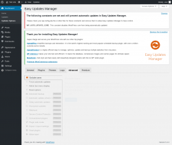 Page screenshot: Dashboard &rarr; Updates Options &rarr; Advanced