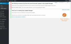 Page screenshot: Dashboard &rarr; Updates Options
