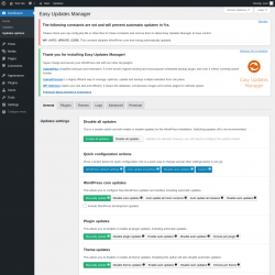 Page screenshot: Dashboard &rarr; Updates options