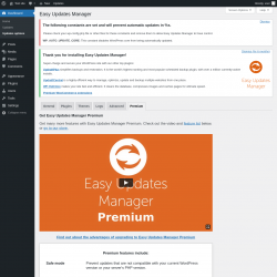 Page screenshot: Dashboard &rarr; Updates options &rarr; Premium