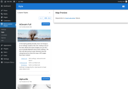 Page screenshot: Store Locator Plus® → Style