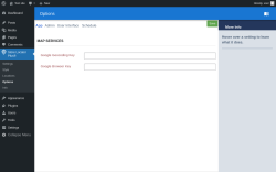 Page screenshot: Store Locator Plus® → Options