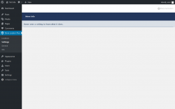 Page screenshot: Store Locator Plus → Settings
