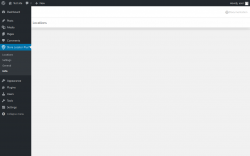 Page screenshot: Store Locator Plus™ → Info