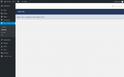 Page screenshot: Store Locator Plus® → Settings