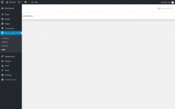 Page screenshot: Store Locator Plus® → Info