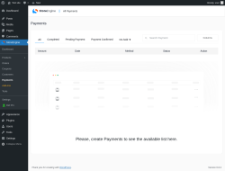 Page screenshot: StoreEngine → Payments