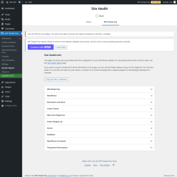 Page screenshot: WP Simple Pay → System Report