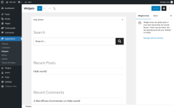 Page screenshot: Widgets &lsaquo; Test site &mdash; WordPress