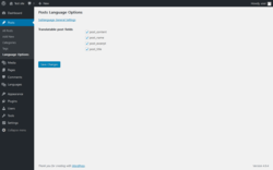 Page screenshot: Posts &rarr; Language Options