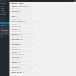Page screenshot: Tools &rarr; Translate Options