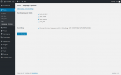 Page screenshot: Posts &rarr; Language Options