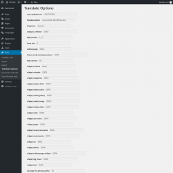Page screenshot: Tools &rarr; Translate Options
