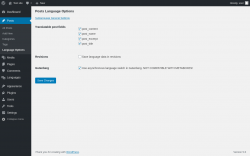 Page screenshot: Posts &rarr; Language Options