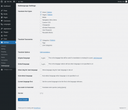 Page screenshot: Settings &rarr; Sublanguage