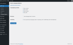 Page screenshot: Posts &rarr; Language Options