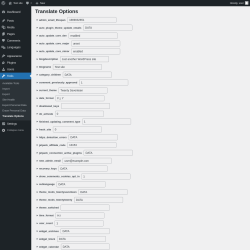 Page screenshot: Tools &rarr; Translate Options