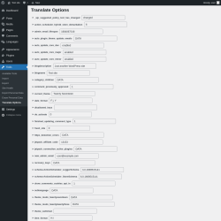 Page screenshot: Tools &rarr; Translate Options