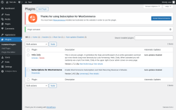 Page screenshot: Plugins &lsaquo; Test site &mdash; WordPress
