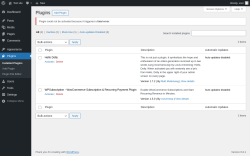 Page screenshot: Plugins &lsaquo; Test site &mdash; WordPress