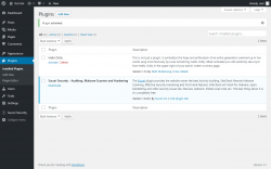 Page screenshot: Plugins &lsaquo; Test site &mdash; WordPress