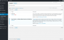 Page screenshot: Plugins &lsaquo; Test site &mdash; WordPress