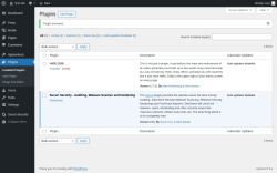 Page screenshot: Plugins &lsaquo; Test site &mdash; WordPress