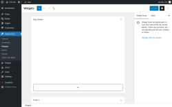 Page screenshot: Widgets &lsaquo; Test site &mdash; WordPress