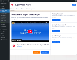 Page screenshot: Super Video Player → Demo & Help