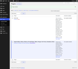 Page screenshot: Plugins &lsaquo; Test site &mdash; WordPress