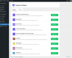 Page screenshot: Superb Helper &lsaquo; Test site &mdash; WordPress