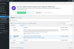 Page screenshot: Plugins &lsaquo; Test site &mdash; WordPress