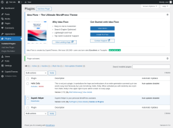 Page screenshot: Plugins &lsaquo; Test site &mdash; WordPress