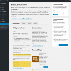 Page screenshot: Thank you for choosing Developry! &lsaquo; Test site &mdash; WordPress