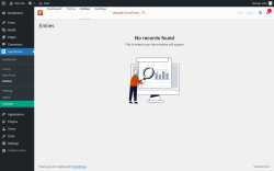 Page screenshot: SureForms → Entries