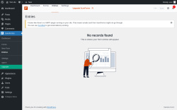 Page screenshot: SureForms → Entries