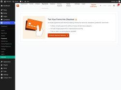Page screenshot: SureForms &rarr; Payments