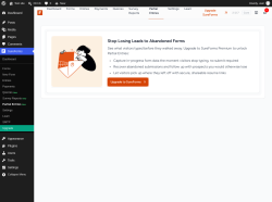 Page screenshot: SureForms &rarr; Partial Entries New