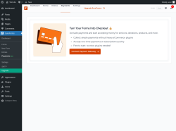 Page screenshot: SureForms &rarr; Payments					New
					