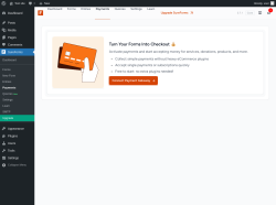 Page screenshot: SureForms &rarr; Payments