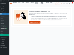 Page screenshot: SureForms &rarr; Partial Entries New