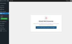 Page screenshot: OttoKit → Status