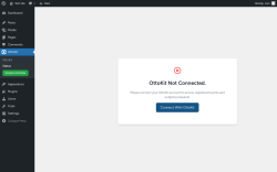 Page screenshot: OttoKit → Status