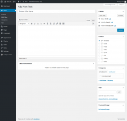Page screenshot: Add New Post ‹ Test site — WordPress