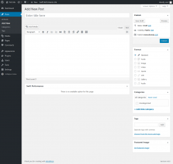 Page screenshot: Add New Post ‹ Test site — WordPress