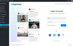 Page screenshot: Tagembed Widget